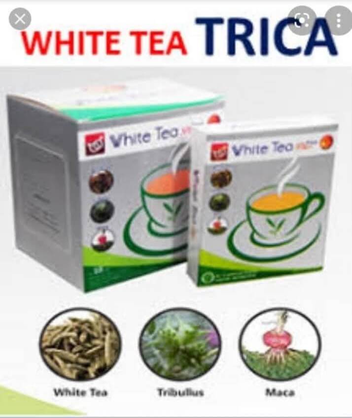 Provit plus Royal Jelly